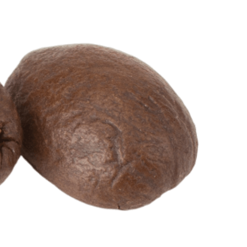 image1178.png