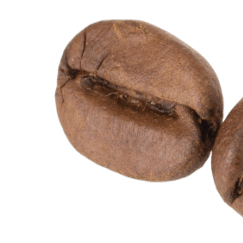 image1251.png